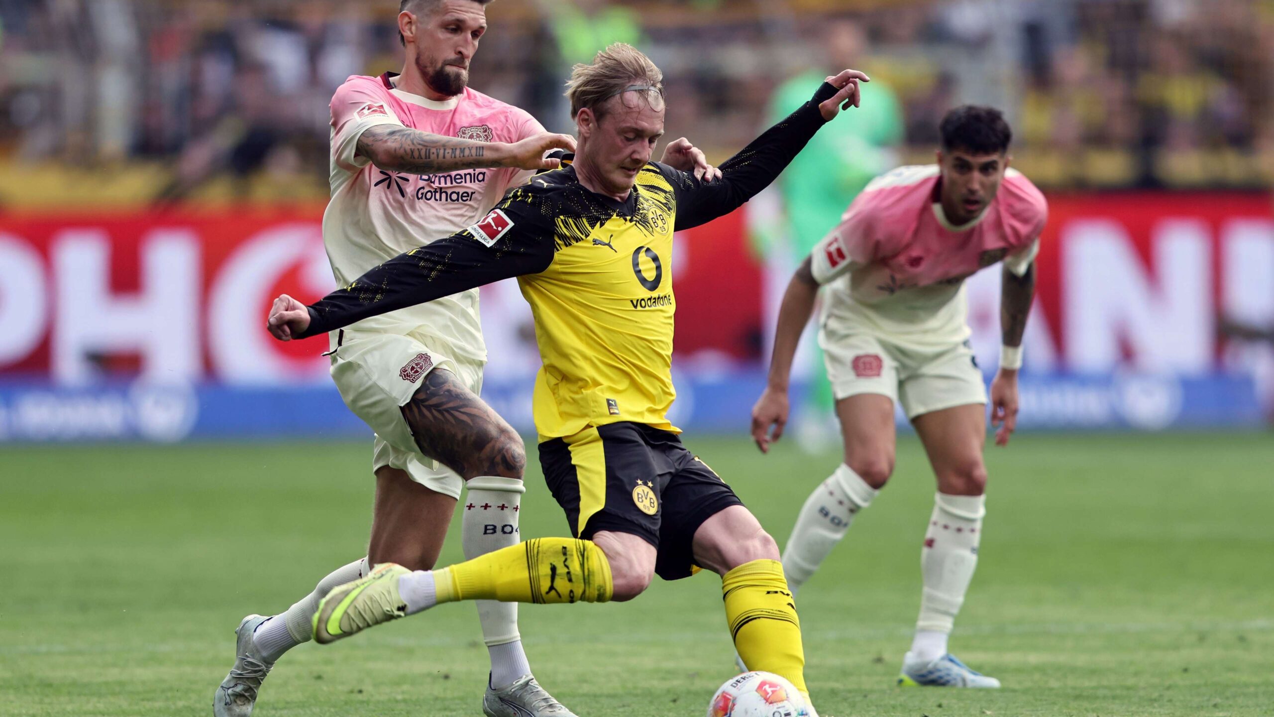 อนาคตไม่แน่น: จูเลียน แบรนด์ต์ จ้องมองการย้ายออกต่างประเทศ