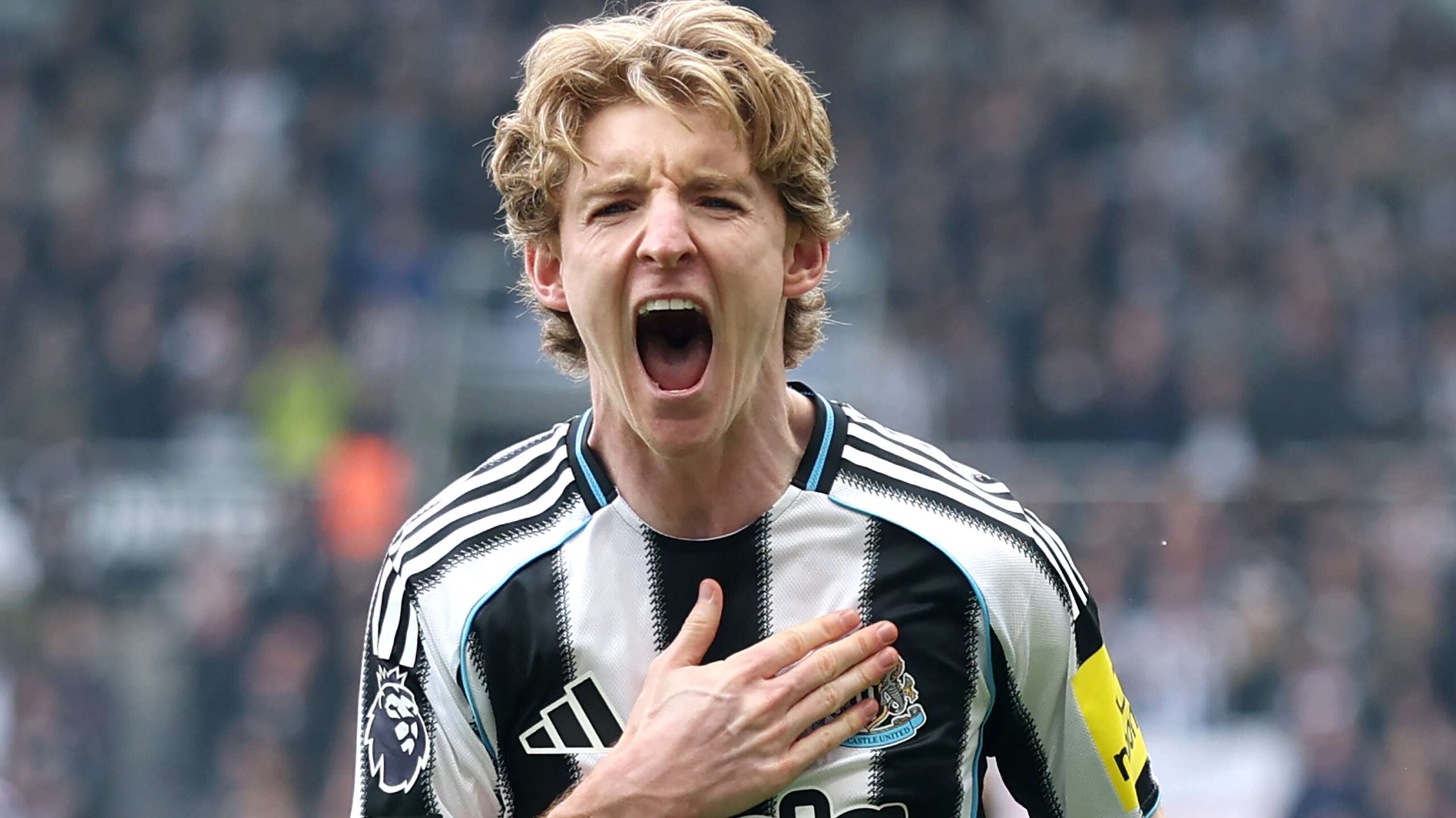 บาเยิร์น มิวนิค เล็งคว้า แอนโทนี กอร์ดอน จาก นิวคาสเซิล ยูไนเต็ด เสริมสองบทบาท